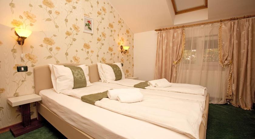 Pension Dinu Residence Timișoara Zewnętrze zdjęcie